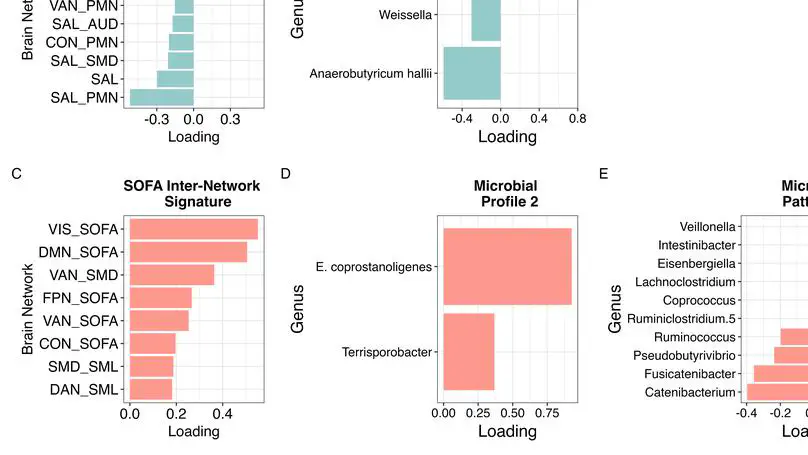 Childhood gut microbiome is linked to mental health at school age via the functional connectome